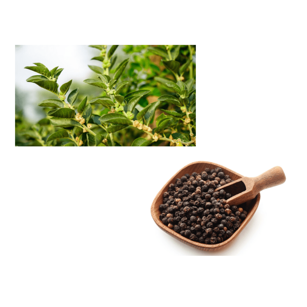 ashwagandha leaves with black pepper image