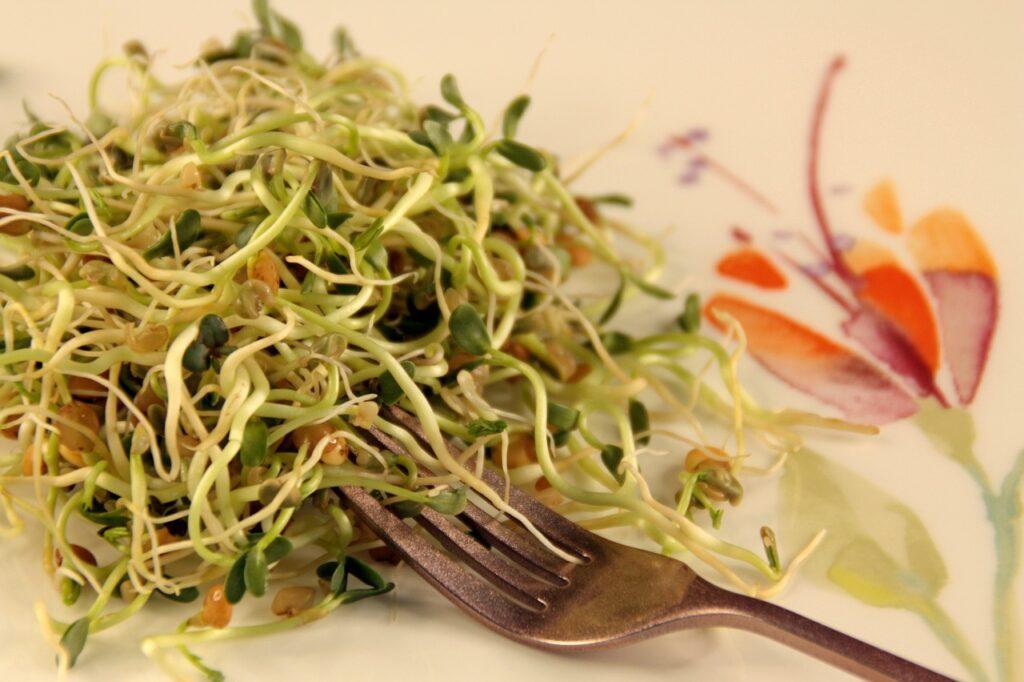 healthy sprout salad image